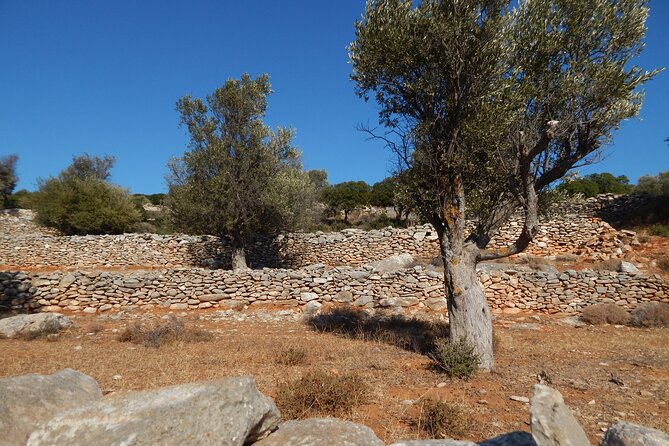 Naxos: Inland Hike-Villages, Kouroi Statues, Apano Kastro - Tour Highlights
