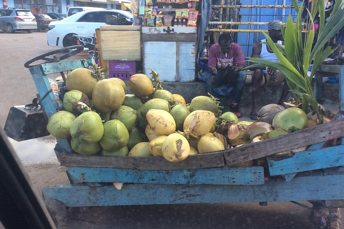 Negril Country Side Tour & Ricks Cafe - Good To Know