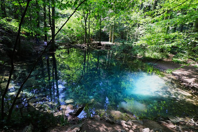 Nera Gorge National Park - Private Day Tour From Timisoara - Good To Know