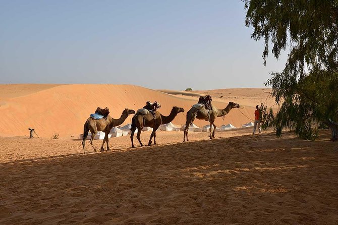 Night in the Desert of Lompoul - Good To Know