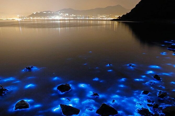Night Tour-Luminating Blue Lagoon Waters - Tour Overview