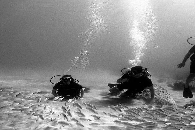 No Certification Required Scuba Dive and Island Tour With Guide - Good To Know