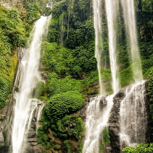 North Bali: Sekumpul Waterfall / Banyumala Waterfall Tour