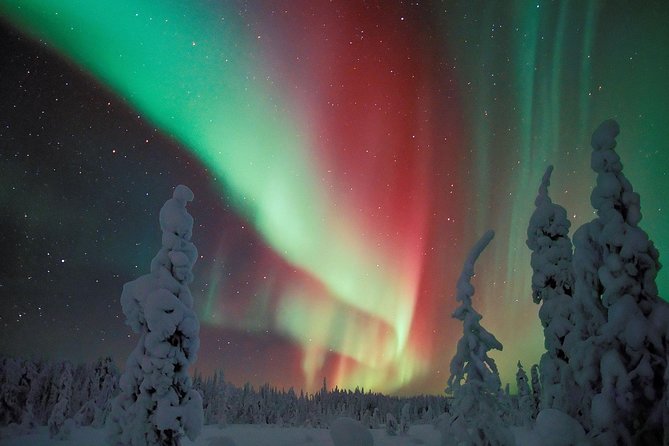 Northern Lights Hunt From Rovaniemi With Folk Tales and Snacks Over Campfire - Good To Know
