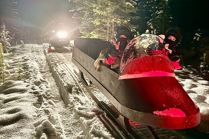 Northern Lights Tour Sleigh Ride - Good To Know