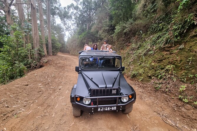 Northwest Madeira Full-Day 4WD Tour From Funchal - Tour Overview