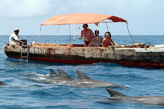 Ocean Safari Tour - Activities and Experiences