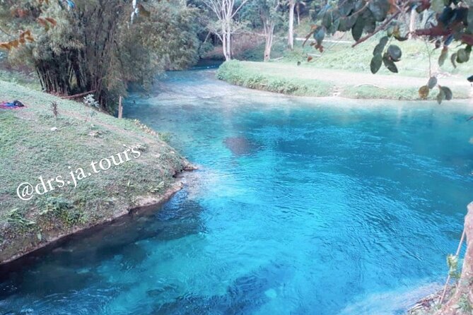 Ocho Rios Highlight Tour - Tour Overview