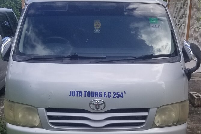 Ocho Rios Sightseeing and Taxi From Runaway Bay & Ocho Rios - Tour Overview