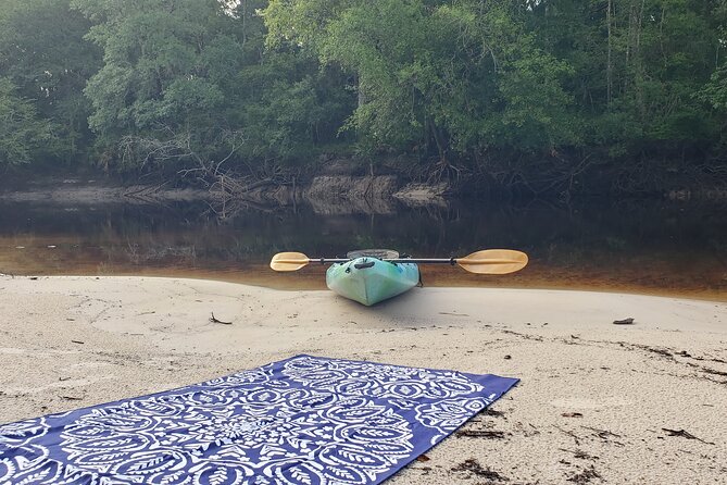 Okefenokee Swamp: Guided Kayak Tour With a Local Naturalist - About Your Stay