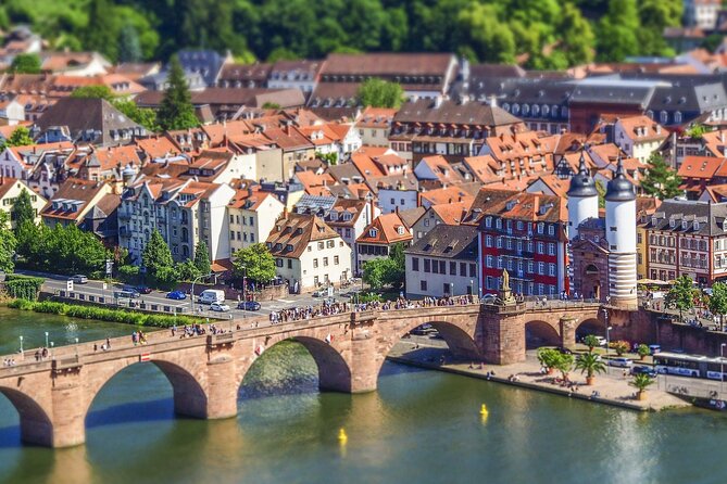 Old Town Private Historic Walking Tour in Heidelberg - Key Points