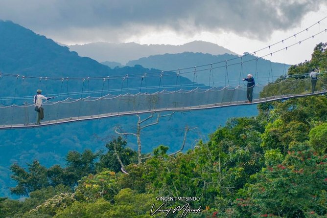 One Day Nyungwe National Park Tour& Canopy Walk (2 Pax Min) - Key Points