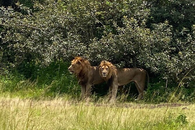 One Day Private Tour to Akagera National Park From Kigali
