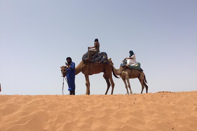 One Day Tour to Small Sahara and Massa - Key Points