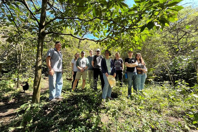 Organic Coffee Farm Tour - About Your Stay