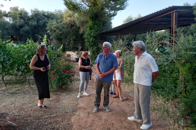 Ostuni DOC Winetour and Tasting. - Good To Know
