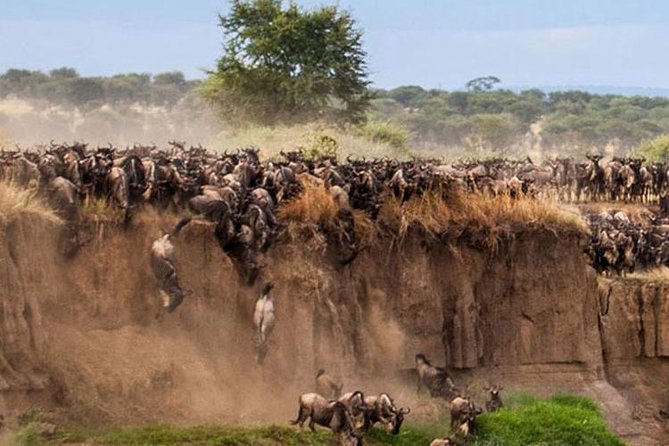 Overnight Maasai Mara Private Safari From Nairobi - Good To Know