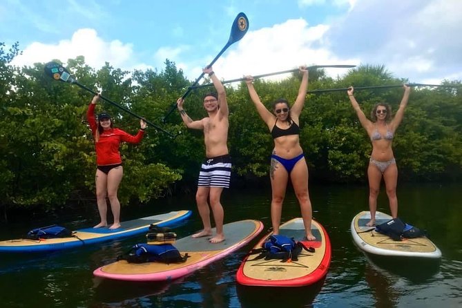 Paddle Boarding Rentals - Good To Know