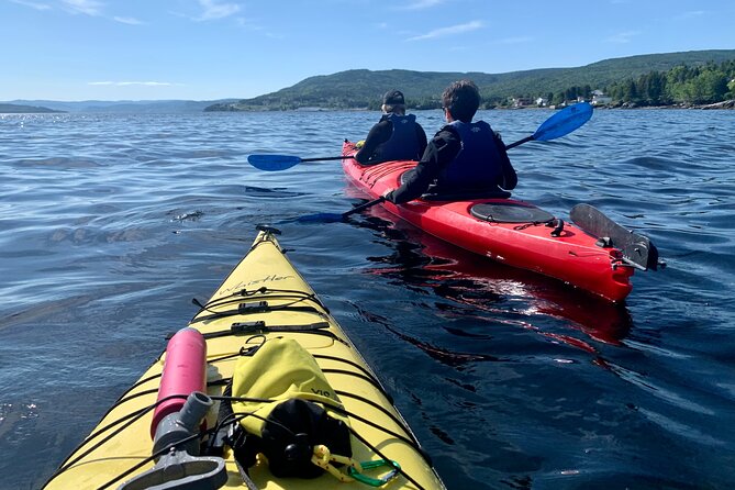 Paddle the Bay of Islands: 2 Hours Guided Kayak Experience - Good To Know