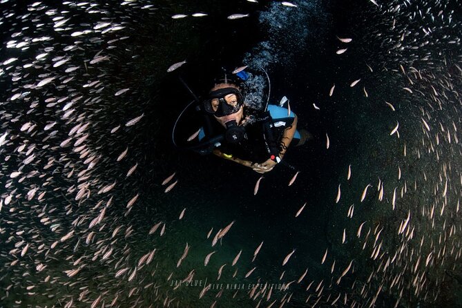 PADI Open Water Course in Cabo San Lucas - Key Points