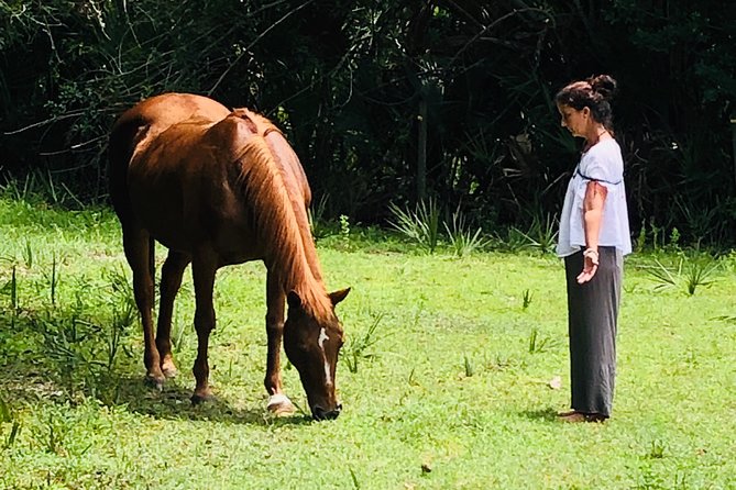 Palm Beach Wellness Program Review: A Disappointing Experience - Inadequate Communication and Coordination