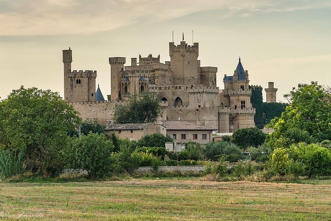 Pamplona and Olite Royal Palace Guided Small Group Tour, Lunch Included - Key Points