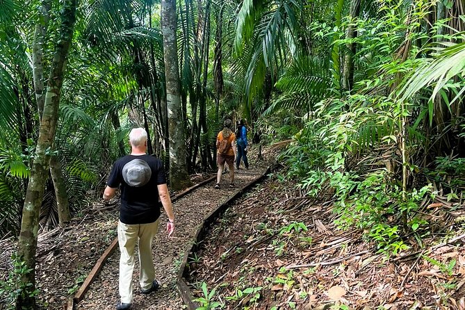 Panama City Metropolitan Park Trail Tour - About Your Stay