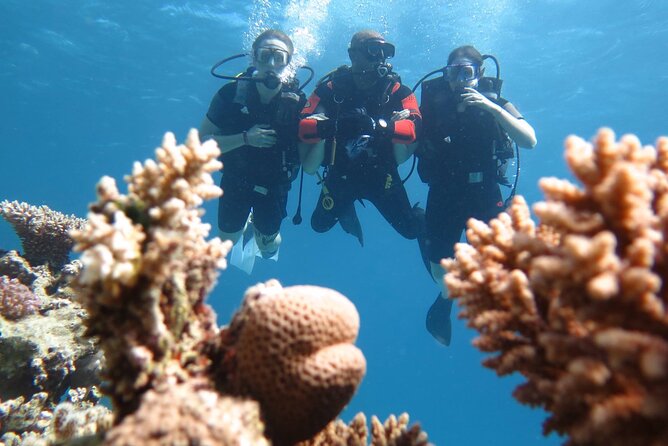 PDI Advanced Open Water Course - Inclusions and Pricing