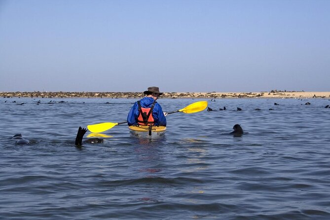 Pelican Point Seal Colony 4x4 Tour - Key Points
