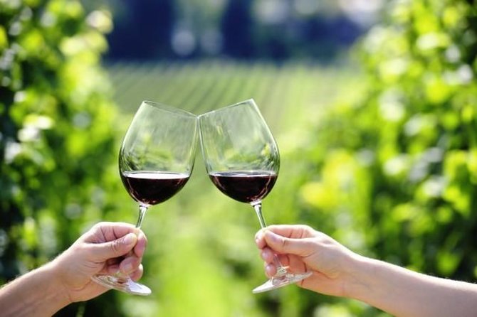 Peljesac Peninsula Day Trip From Dubrovnik: Wine Tasting and Ston Village Tour - Key Points
