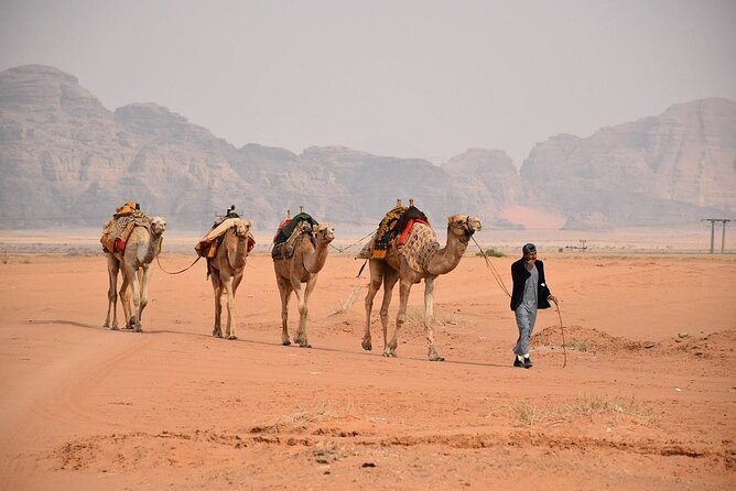 Petra & Wadi Rum Full-Day Tour From Amman or Airport - Tour Overview