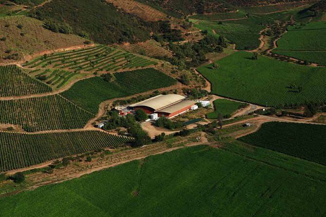 Pickup San Antonio Port Visit Chocalan Winery & Transfer to Hotel - Good To Know