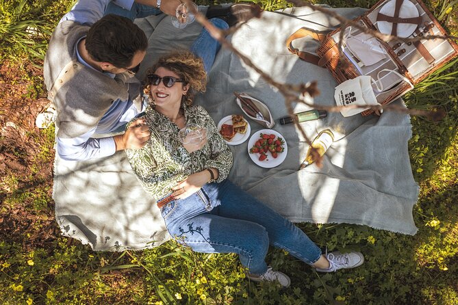 Picnic in the Vineyards - Key Points