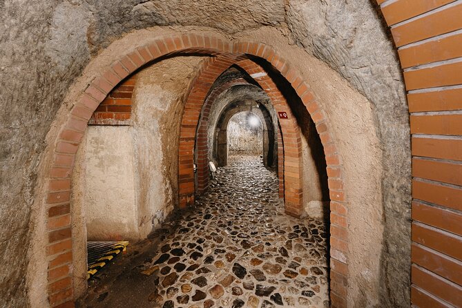 Pilsen Historic Underground Tour With a Glass of Beer - Good To Know