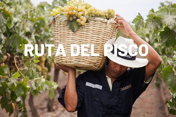 Pisco Route in Ica - About Your Stay
