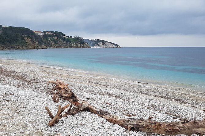 Portoferraio Walking Tour With Guide 2 Hours - Activity Highlights