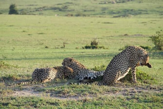 Private 2 Day Diani Beach to Tsavo East Tour - Tour Highlights