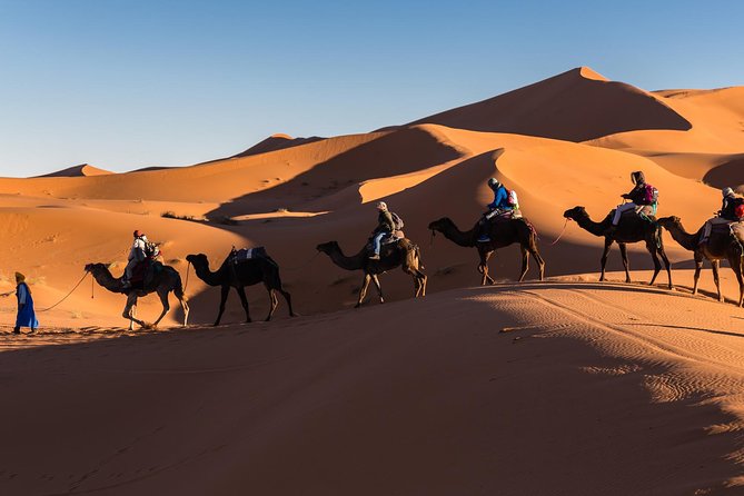 Private 3-Days Desert Tour From Zagora to Erg Chigaga Dunes & Camel Trek - Good To Know
