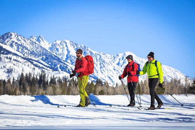 Private 4 Hour Beginner Cross Country Skiing in Grand Teton - Good To Know