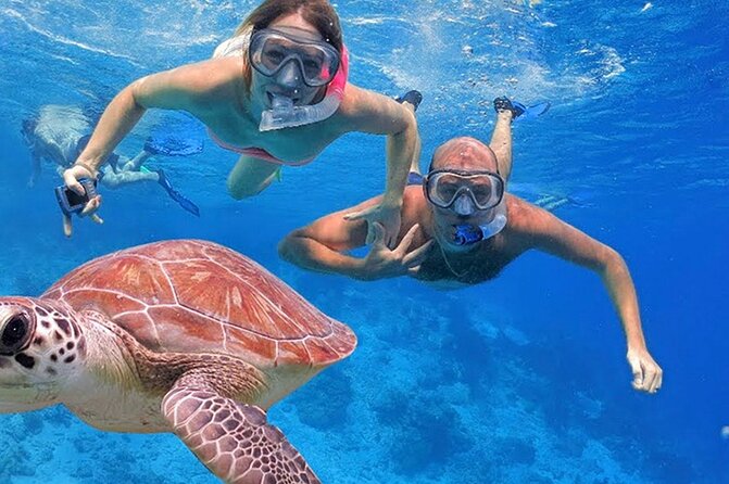 Private 4-Hour Speedboat Tour in the Read Sea From Hurghada - Key Points