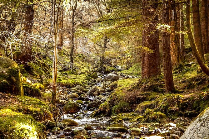 Private 8-Hour Tour to Glendalough and Wicklow From Dublin - Tour Overview