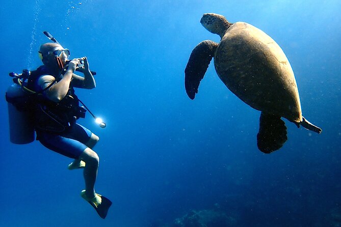 Private and Personalized Scuba Diving Adventures for All Experience Levels - Good To Know