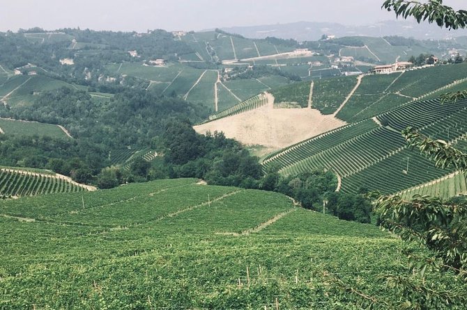 Private Barolo Wine Tour With Winemaker From Turin - Tour Highlights