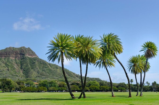 Private Bike Tour in Honolulu - About Your Stay