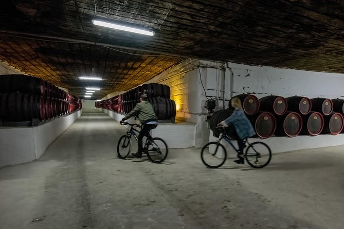Private Bike Tour to Cricova Winery With Wine Tasting and Lunch - Key Points