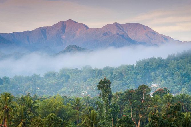 Private Blue Mountain Tour From Ocho Rios - Good To Know
