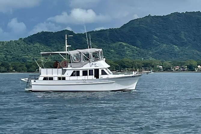 Private Boat Tour With Free Food and Drinks and Snorkeling - About Your Stay