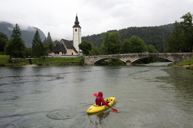 Private Bohinj & Vogel Tour From Bled - Key Points