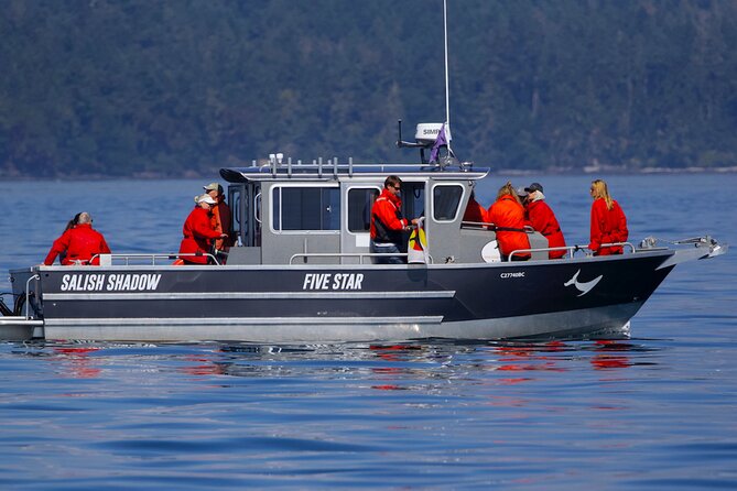 Private Charter - Marine Adventure and Whale Watching - Good To Know