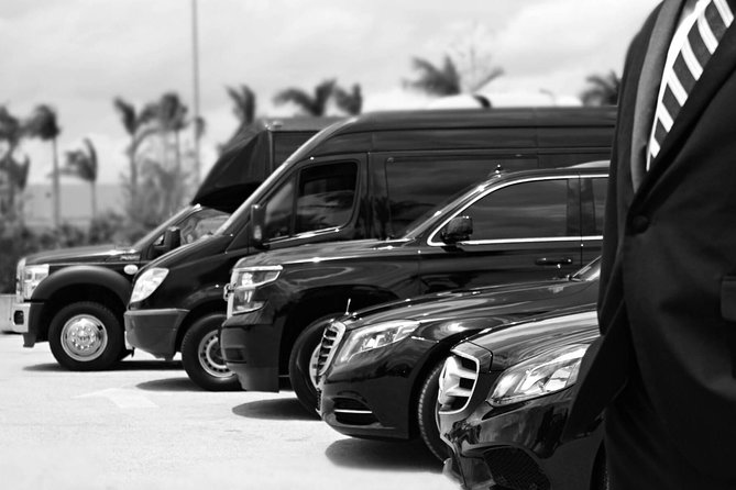 Private Chauffeur and Minivan for Your Tours or Business Needs. - Key Points